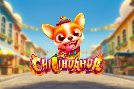 CHILIHUAHUA