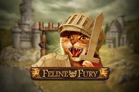 Feline Fury