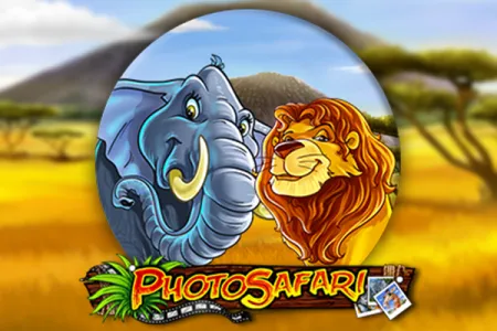 Photo Safari