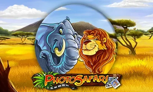 Photo Safari