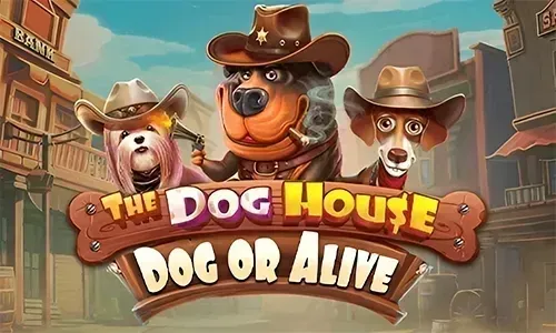 The Dog House – Dog or Alive