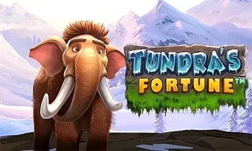 Tundra’s Fortune