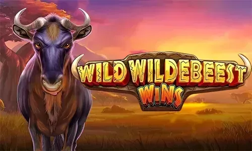 Wild Wildebeest Wins