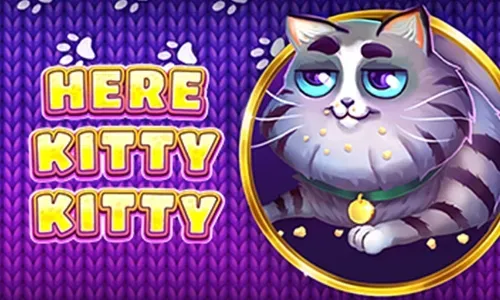 Here Kitty Kitty